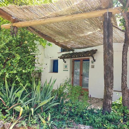 Casita Esperanza Villa Alájar Exteriör bild